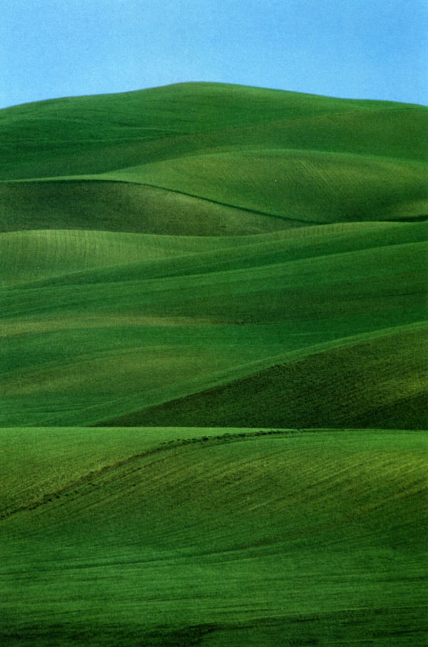 Franco Fontana, Basilicata, 1981