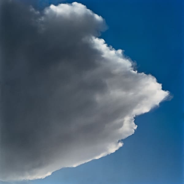 Sally Gall, Wing, 2012
