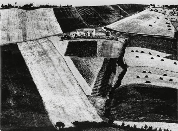 Mario Giacomelli, Paesaggio 1 (from the series "Metamorphosis of the Land"), 1956