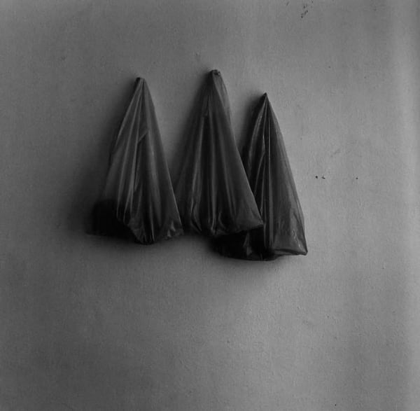 Stephan Brigidi, Still Life #8, 1978