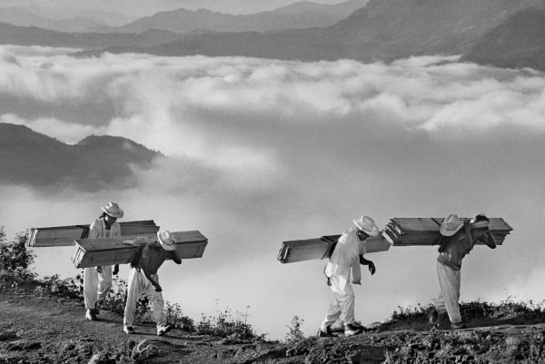 Sebastião Salgado, México, 1980