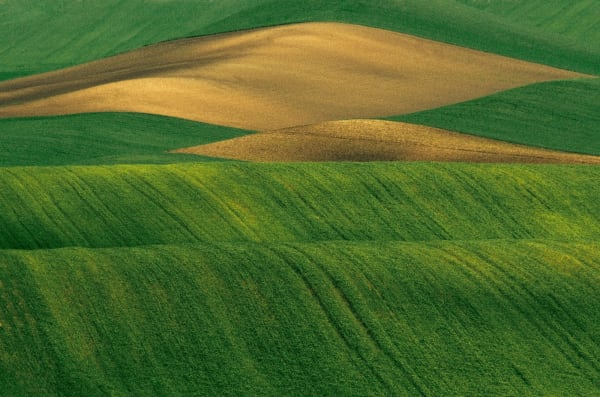 Franco Fontana, Basilicata, 1995