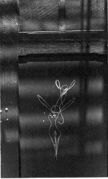 Helen Levitt, Chalk Drawing (woman/ angel ), 1939