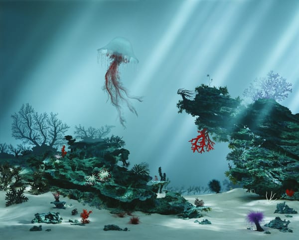 Didier Massard - Corals, 2004