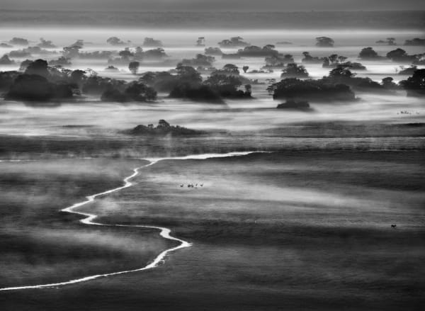 Sebastião Salgado, Kafue National Park, Zambia, 2010
