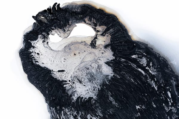 Olivia Parker, Ink 19, 2020