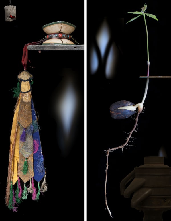 Olivia Parker, Drum and Acorn (diptych), 2010