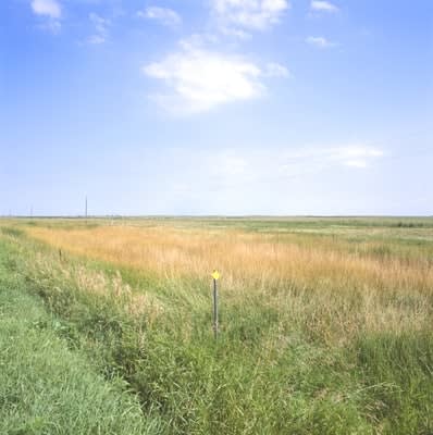 Karen Halverson, Leola, South Dakota, 2011