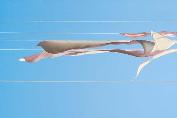 Sally Gall, Zephyr, 2015