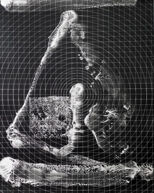 György Kepes, Untitled photogram, 1981