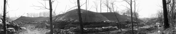 Lois Conner, New excavations, Wind in the Lotus (Quyuan fenghe 曲院风荷) Yuanming Yuan 圆明园, Beijing, China, 2004