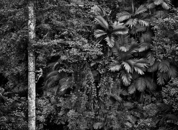 Sebastião Salgado, Siberut Island. West Sumatra. Indonesia, 2008