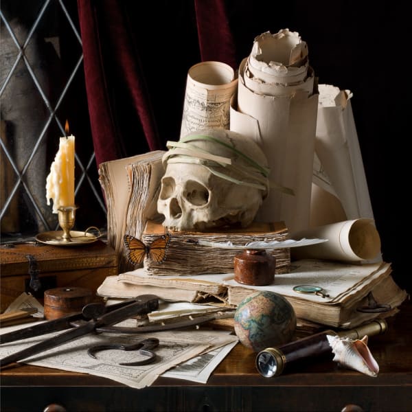 Paulette Tavormina, Vanitas V, Journeys, After E.C., 2015