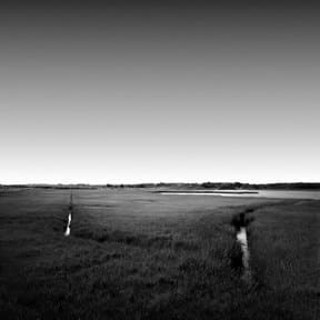 David Fokos, Salt Marsh