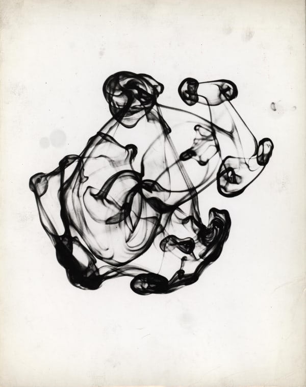 György Kepes, Untitled photogram