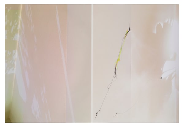 Lineations