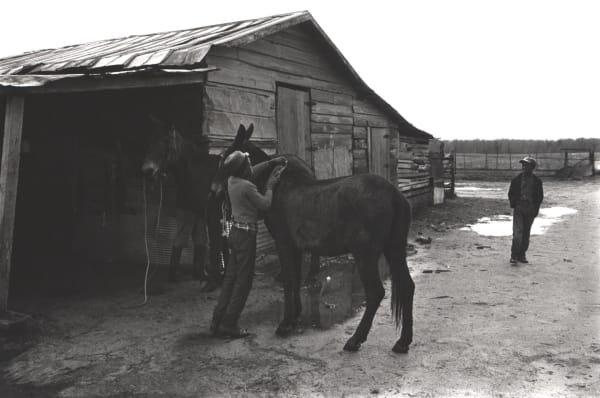 Constantine Manos, Untitled, Sharecroppers, South Carolina (removing harness from mule), 1965