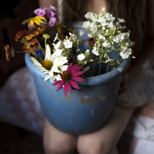 Cig Harvey, Wild Flowers, 2016