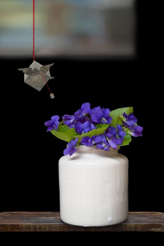 Olivia Parker, Violets, 2010