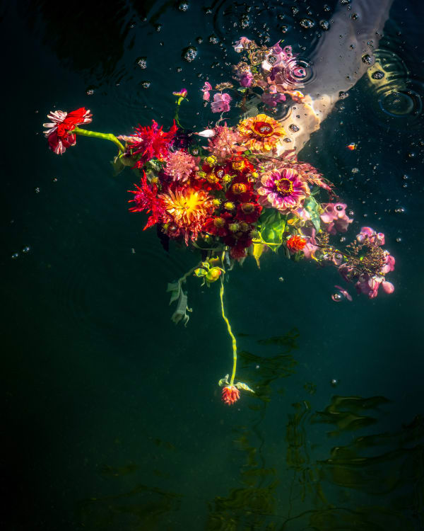 Cig Harvey, Pink is A Touch, 2019