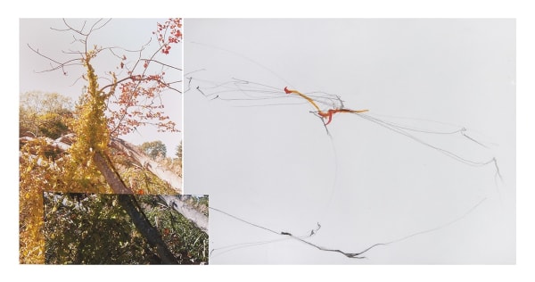 Sandi Haber Fifield, Untitled (LF16 #109), 2016