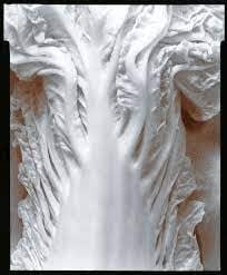 Olivia Parker, White Leaf (54), 1976