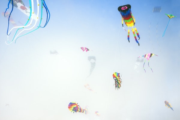 Sally Gall, Heavenly Creatures, 2016