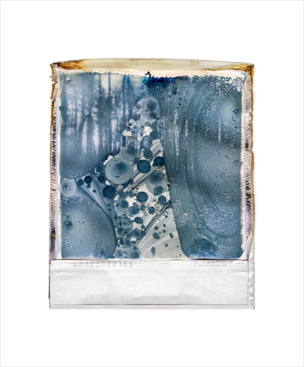 Gohar Dashti, Disappearing Nature #3, 2022