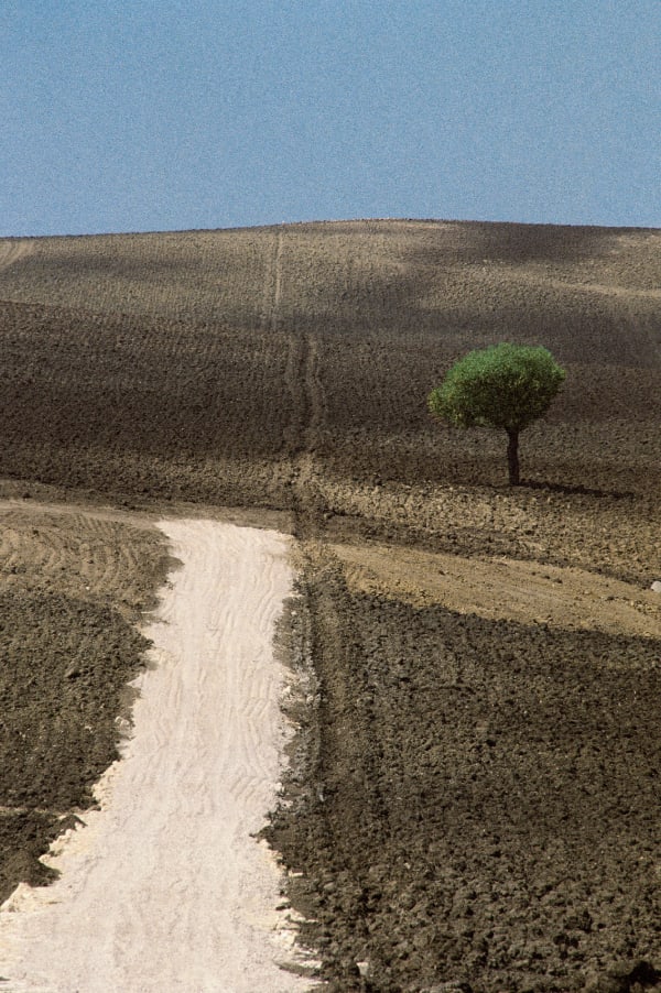 Franco Fontana, Puglia, 1978