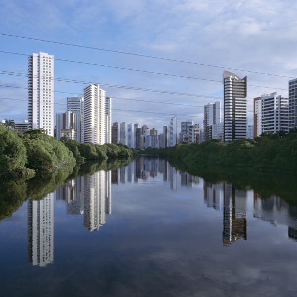 Magda Biernat, Mangroves in Recife, Brazil, 2013
