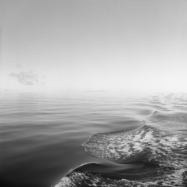 The Water's Edge