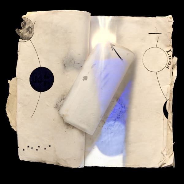 Olivia Parker, Opposites (20080014), 2008