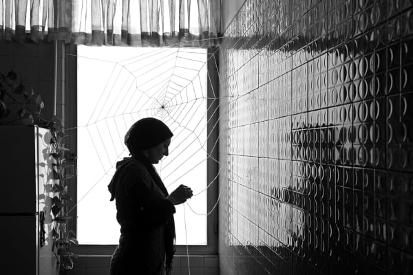 Shadi Ghadirian, Miss Butterfly #14, 2011