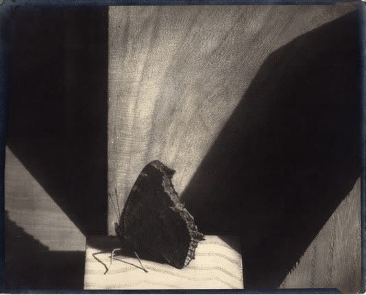 Edward Steichen, Diagram of Doom, c. 1926