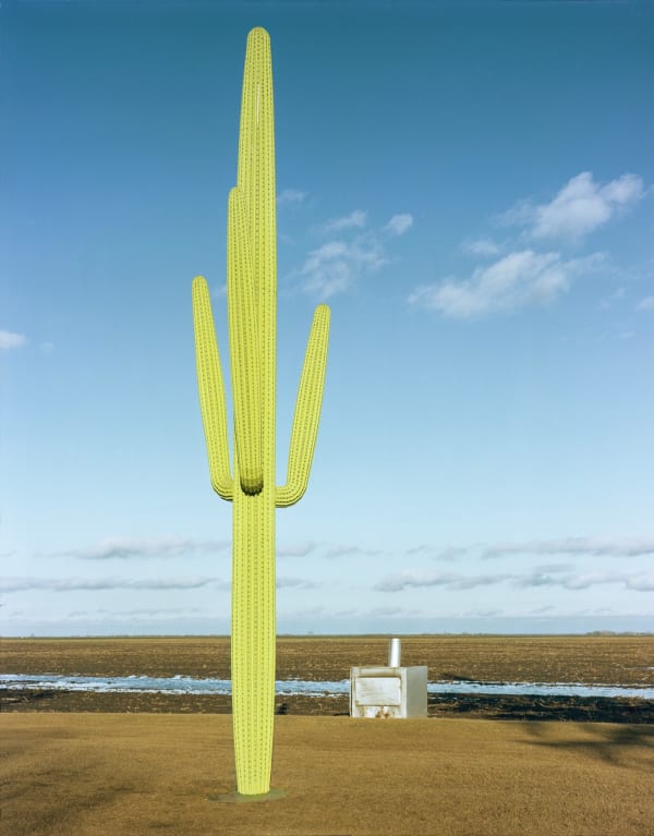 Jim Dow, Wooden Cactus at Sunset, Henry French’s Farm, Cashel, ND , 1981