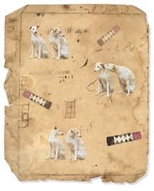 Olivia Parker, Observations, 1999