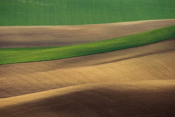 Franco Fontana, Basilicata, 1995