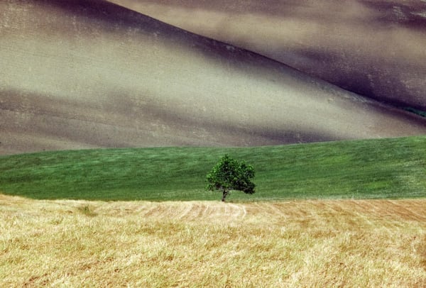 Franco Fontana, Basilicata, 1986