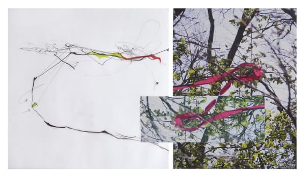 Sandi Haber Fifield, Untitled (LF16 #117), 2016