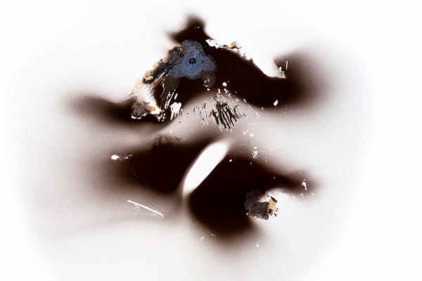 Olivia Parker, Ink 150, 2022