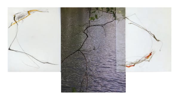 Sandi Haber Fifield, Untitled (LF16 #102), 2016