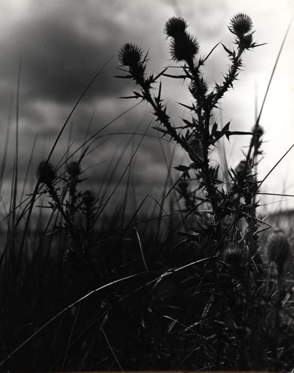 György Kepes, Untitled, 1978