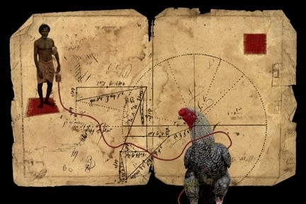 Olivia Parker, Gamecock (9905), 1999