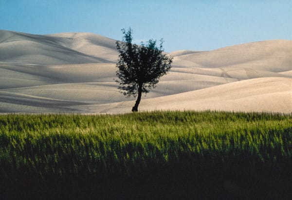 Franco Fontana, Basilicata, 1986