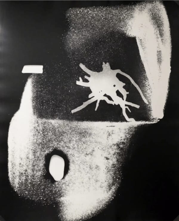 György Kepes, Untitled photogram, 1940