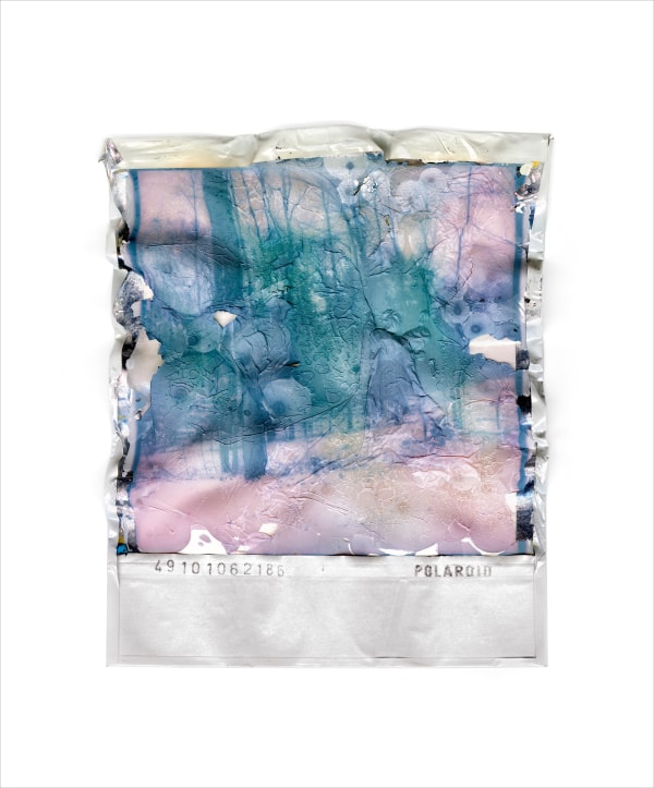 Gohar Dashti, Disappearing Nature #12, 2022