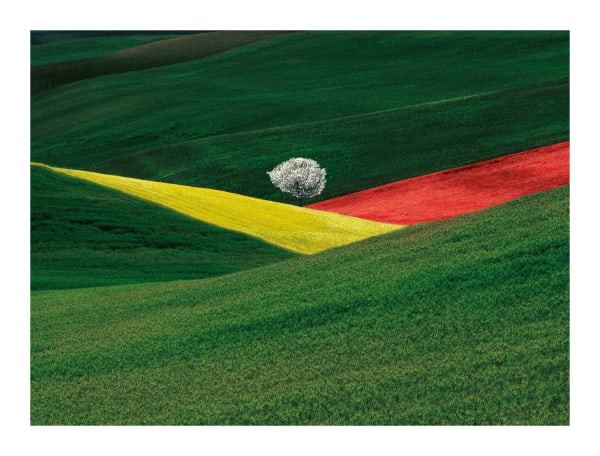 Franco Fontana, Paesaggio Immaginario, Puglia