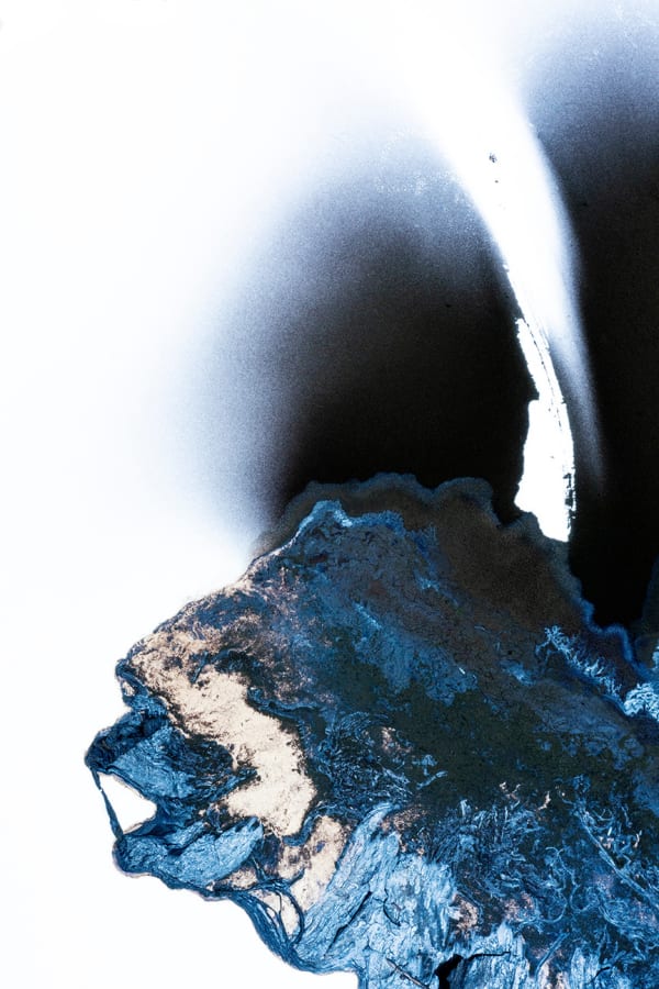 Olivia Parker, Ink 96, 2021