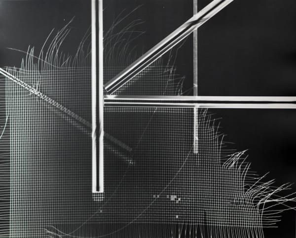 György Kepes, Untitled photogram, 1981