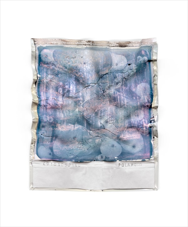 Gohar Dashti, Disappearing Nature #14, 2022